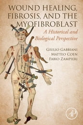 Wound Healing, Fibrosis, and the Myofibroblast