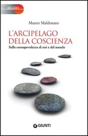 L'arcipelago della coscienza. Sulla consapevolezza di noi e del mondo - Mauro Maldonato