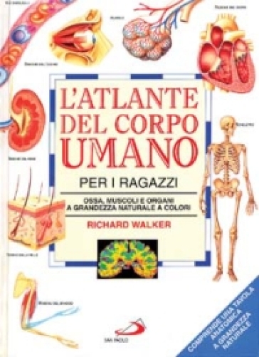 L'atlante del corpo umano per i ragazzi. Ossa, muscoli e organi a grandezza naturale a colori - Richard Walker