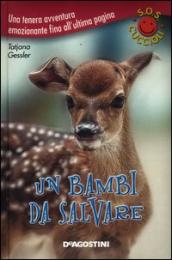 Un bambi da salvare. S.O.S. cuccioli