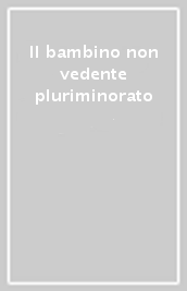 Il bambino non vedente pluriminorato