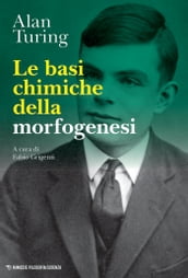 Le basi chimiche della morfogenesi