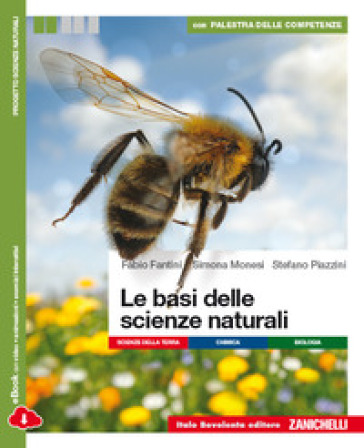 Le basi delle scienze naturali. Per le Scuole superiori. Con e-book. Con espansione online - Fabio Fantini - Simona Monesi - Stefano Piazzini