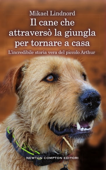 Il cane che attraversò la giungla per tornare a casa - Mikael Lindnord