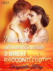 Un capo straordinario - 3 brevi racconti erotici