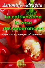 La coltivazione in vaso del peperoncino