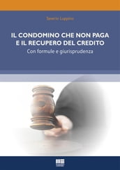 Il condomino che non paga e il recupero del credito