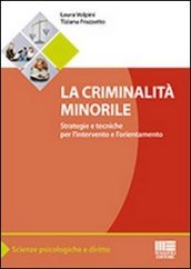 La criminalità minorile. Strategie e tecniche per l intervento e l orientamento