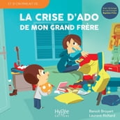 La crise d ado de mon grand frère