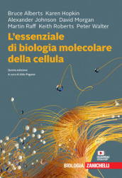 L essenziale di biologia molecolare della cellula. Con Contenuto digitale (fornito elettronicamente)