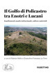 Il golfo di Policastro tra Enotri e Lucani. Insediamenti, assetto istituzionale, cultura materiale