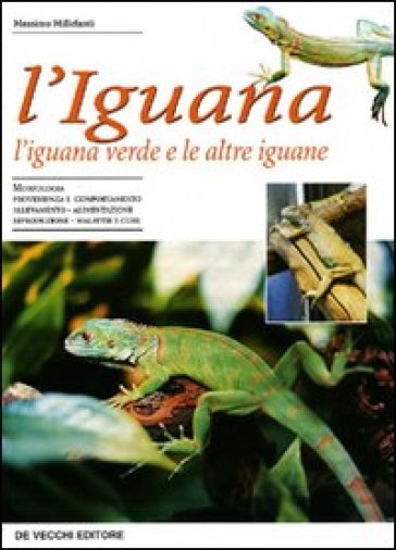 L'iguana. L'iguana verde e le altre iguane - Massimo Millefanti