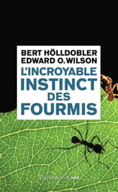 L incroyable instinct des fourmis