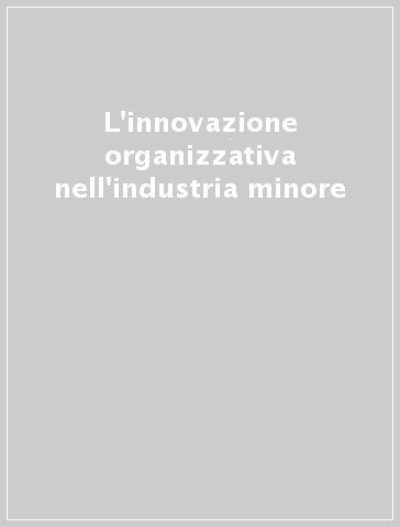 L'innovazione organizzativa nell'industria minore