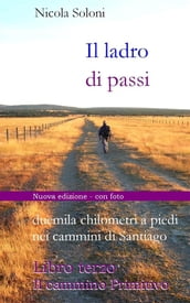 Il ladro di passi. Libro terzo. Il cammino Primitivo