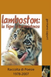 lamboston: la tigre e la resistenza