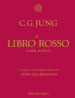 Il libro rosso. Liber novus. Ediz. illustrata