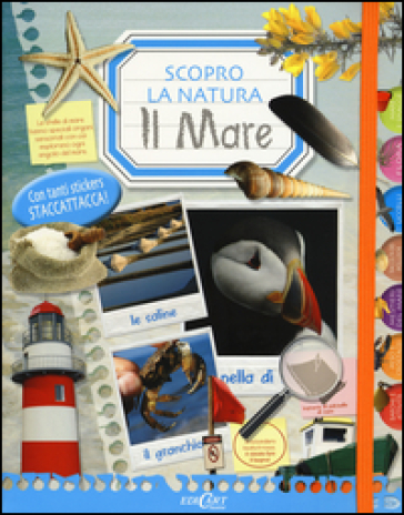 Il mare. Scopro la natura. Con adesivi. Ediz. illustrata