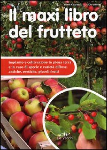 Il maxi libro del frutteto. Coltivazione in piena terra e in vaso - Enrica Boffelli - Guido Sirtori