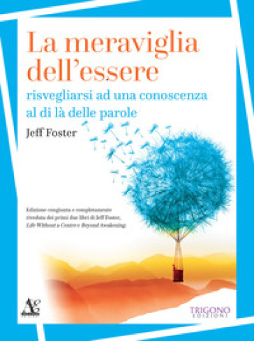 La meraviglia dell'essere. Risvegliarsi ad una conoscenza al di là delle parole - Jeff Foster