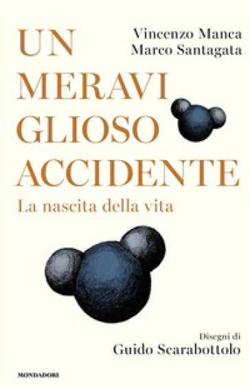 Un meraviglioso accidente. La nascita della vita - Vincenzo Manca - Marco Santagata