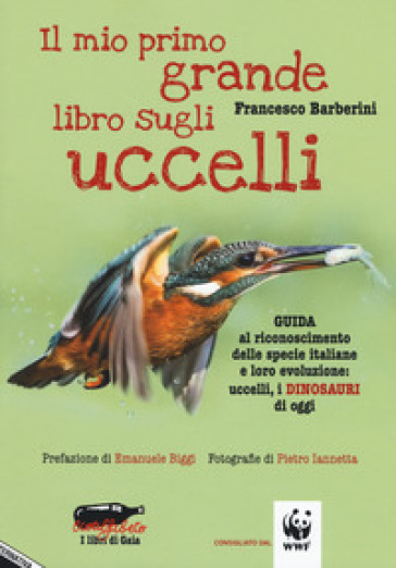 Il mio primo grande libro sugli uccelli. Guida al riconoscimento delle specie italiane e loro evoluzione: uccelli, i dinosauri di oggi - Francesco Barberini