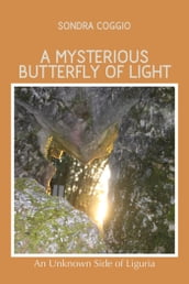 A mysterious butterfly of light