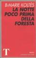 La notte poco prima della foresta