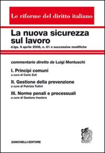 La nuova sicurezza sul lavoro: Principi comuni-Gestione della prevenzione-Norme penali e processuali. Cofanetto