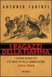 I ragazzi della fiamma. I giovani neofascisti e il progetto della grande destra 1952-1958