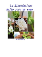 La riproduzione delle rose da seme