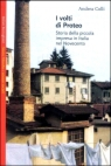 I volti di Proteo. Storia della piccola impresa in Italia nel novecento - Andrea Colli