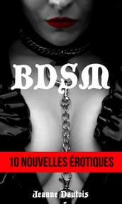 10 Histoires BDSM