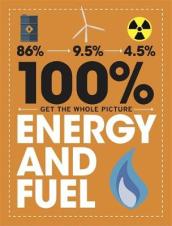 100% Get the Whole Picture: Energy and Fuel