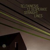 12 desperate straight lines