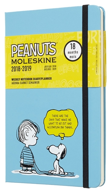 18 mesi - Agenda settimanale con spazio per note Peanuts Large verde salice