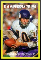 1961 Minnesota Vikings