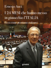 I 24 mesi che hanno messo in ginocchio l Italia. Ecco come possiamo rialzarci