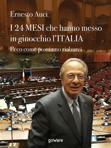 I 24 mesi che hanno messo in ginocchio l'Italia. Ecco come possiamo rialzarci - Ernesto Auci