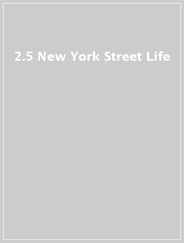 2.5 New York Street Life
