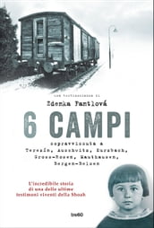 6 campi