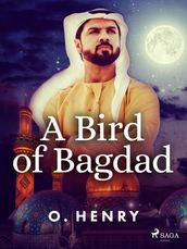 A Bird of Bagdad