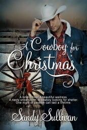 A Cowboy for Christmas