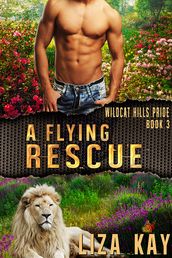 A Flying Rescue