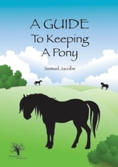 A Guide To Keeping A Pony