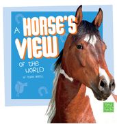 A Horse s View of the World