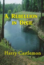 A Rebellion in Dixie