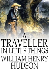 A Traveller in Little Things