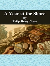 A Year at the Shore