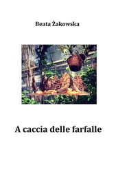 A caccia delle farfalle